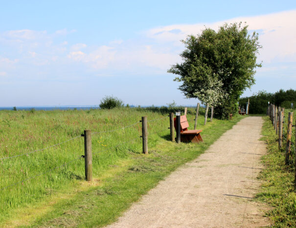 Umgebung-Mein-Ostseeplaetzchen-1