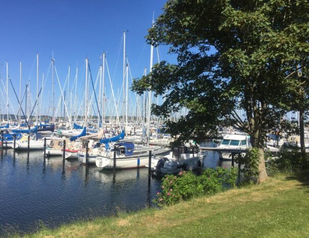 Umgebung-Mein-Ostseeplaetzchen-4