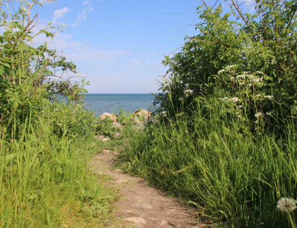 Umgebung-Mein-Ostseeplaetzchen-6