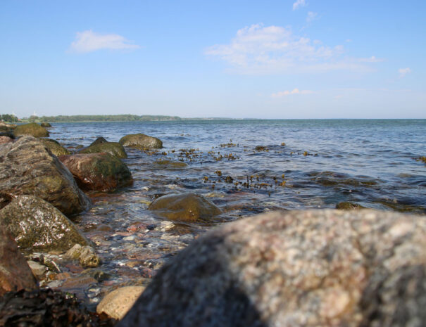 Umgebung-Mein-Ostseeplaetzchen-9