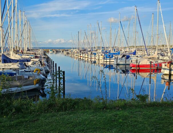 0f07b795-9cc2-4351-a93f-55453405a3a1