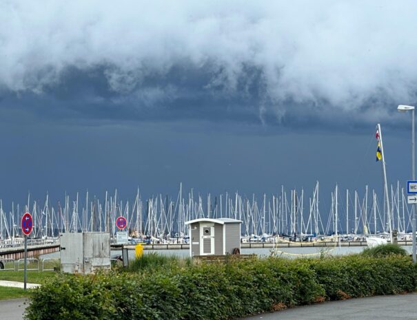 4457a2c6-c824-4950-b977-21d81192c751