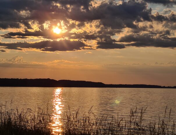 5847924f-ea3a-4db9-9176-b2ec19481a0c