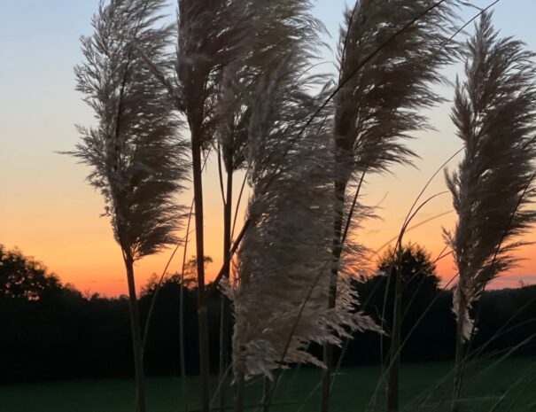 6218ad6d-9863-463e-ac95-121992727cab