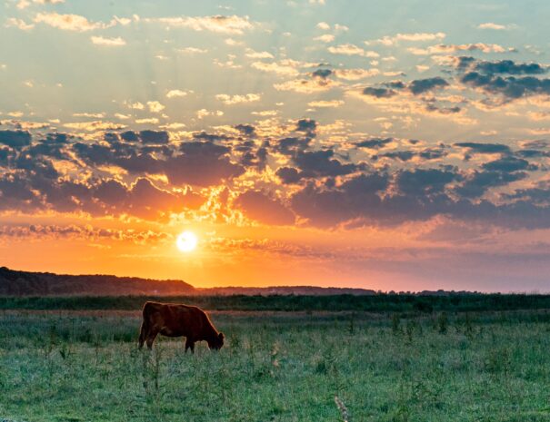 83c391f0-d804-453f-901c-4387257e6b91