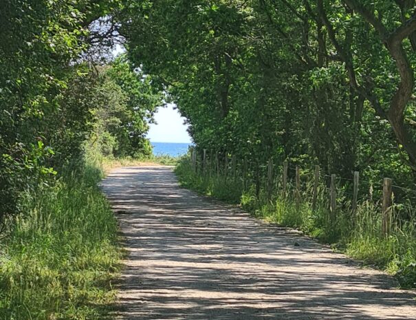 f2c18e46-bbf5-40b7-af1a-eabc63a5a1b6